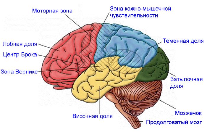 Речь