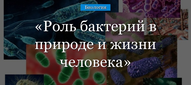 Роль бактерий в природе и жизни человека