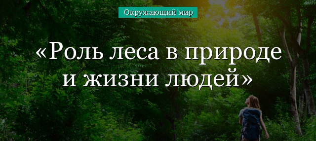 Роль леса в природе и жизни людей