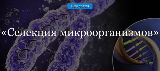 Селекция микроорганизмов