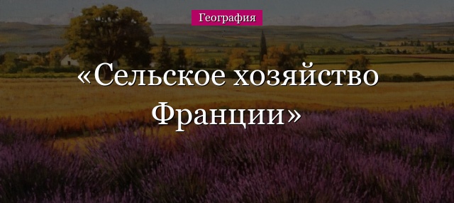 Сельское хозяйство Франции