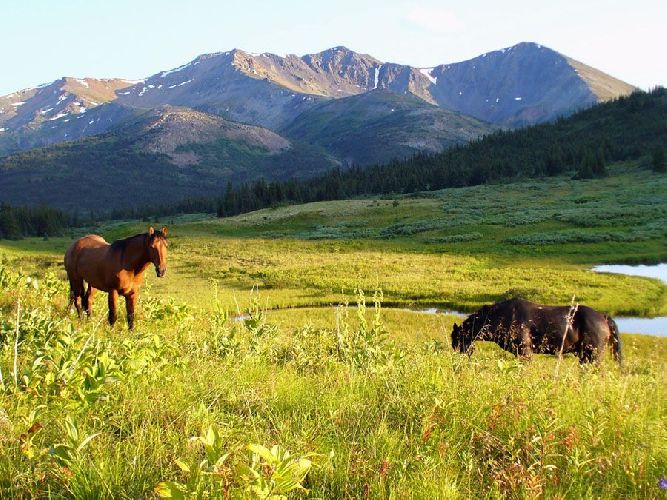 Сельское хозяйство Канады