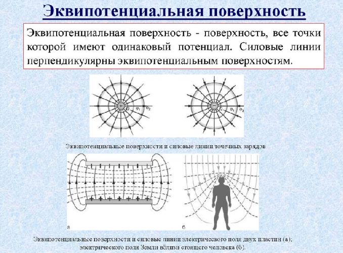 Сила тяжести