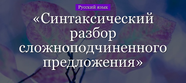 Синтаксический разбор сложноподчиненного предложения