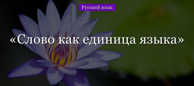 Слово как единица языка