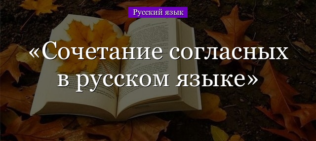 Сочетание согласных в русском языке