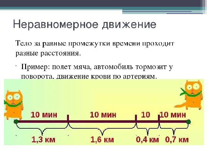 Средняя скорость движения