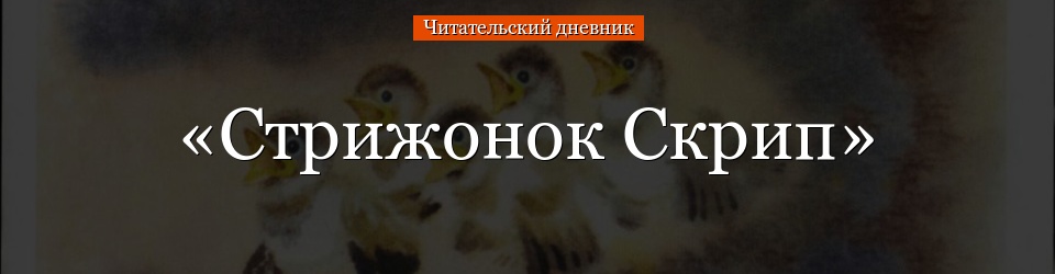 «Стрижонок Скрип» читательский дневник