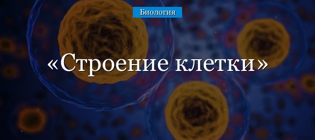 Строение клетки