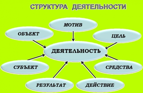 Структура деятельности