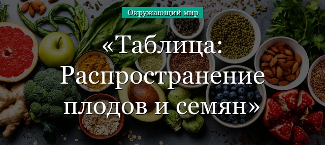 Таблица: Распространение плодов и семян