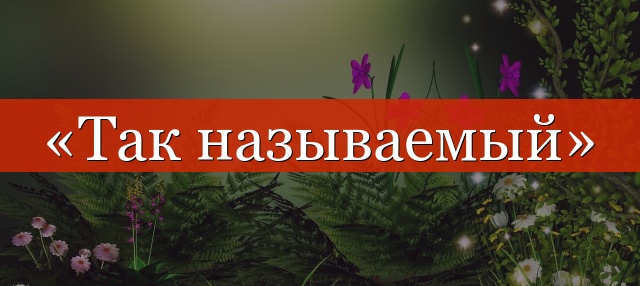 «Так называемый» выделяется запятыми или нет?