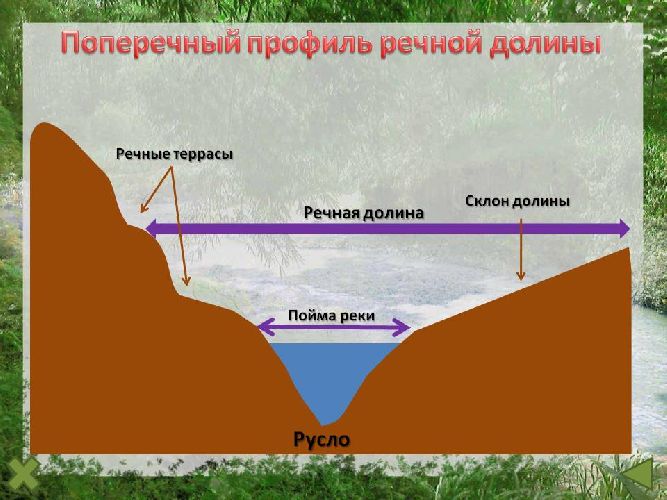 Терраса реки