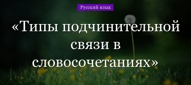 Типы подчинительной связи в словосочетаниях