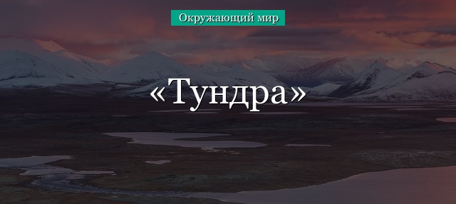 Тундра