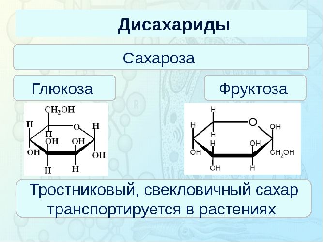 Углеводы