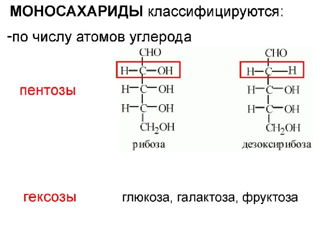 Углеводы