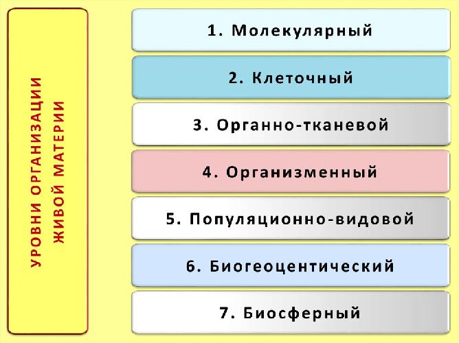 Уровни организации живой природы