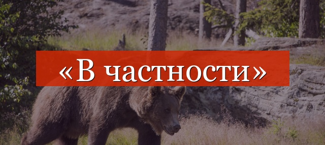 «В частности» выделяется запятыми или нет?