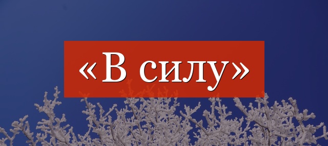 «В силу» запятая нужна или нет?