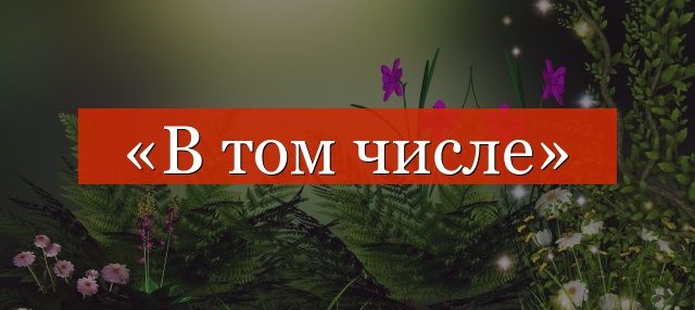 «В том числе» выделяется запятыми или нет?