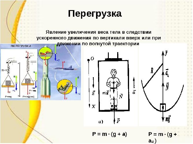 Вес тела