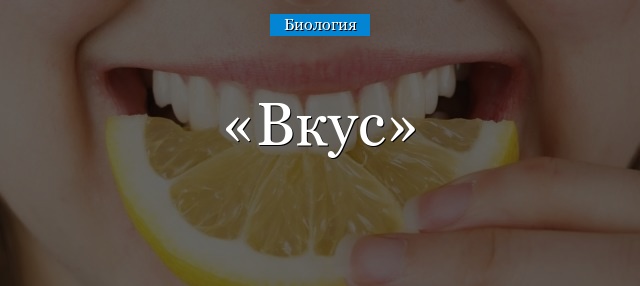 Вкус