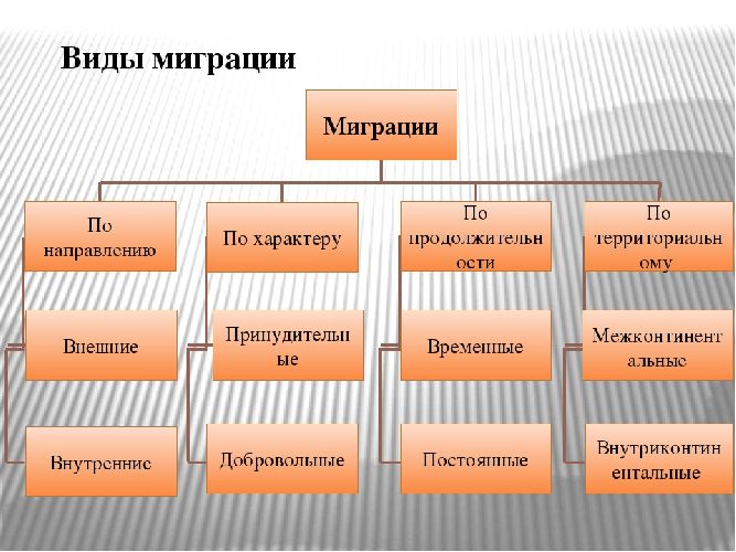 Влияние миграций на численность населения