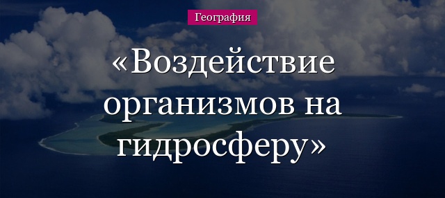 Воздействие организмов на гидросферу