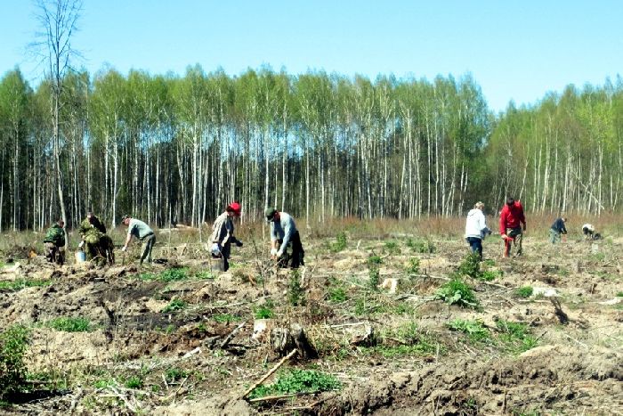 Возобновляемые ресурсы