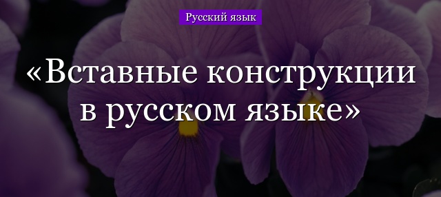 Вставные конструкции в русском языке