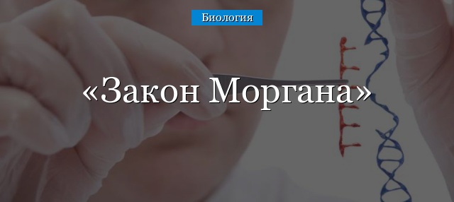 Закон Моргана