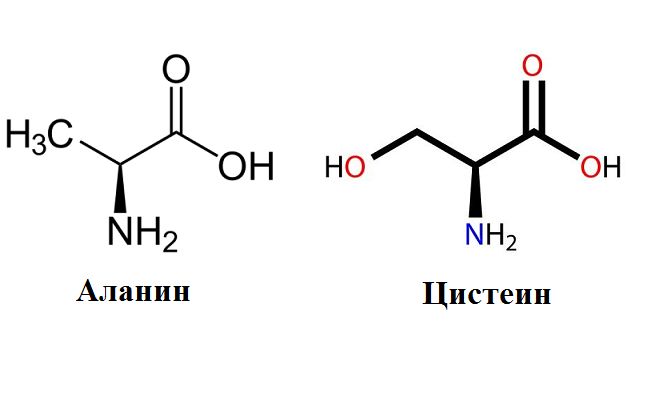 Заменимые аминокислоты