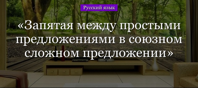 Запятая между простыми предложениями в союзном сложном предложении