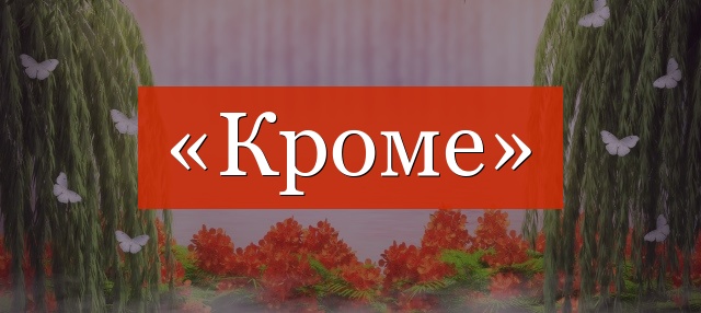 Запятая перед «кроме» нужна или нет?