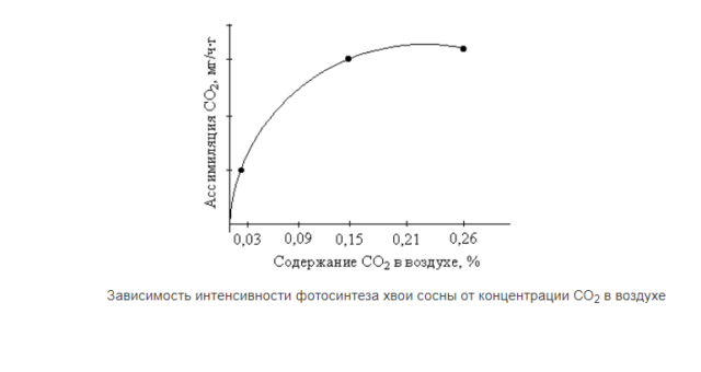 Значение фотосинтеза