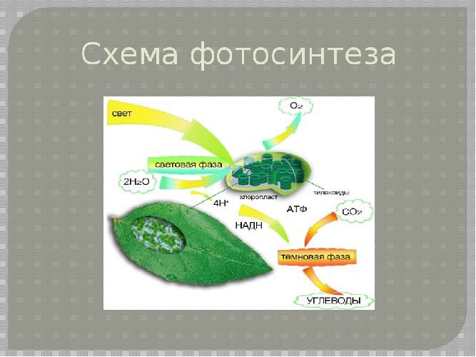 Значение гидросферы