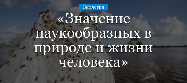 Значение паукообразных в природе и жизни человека