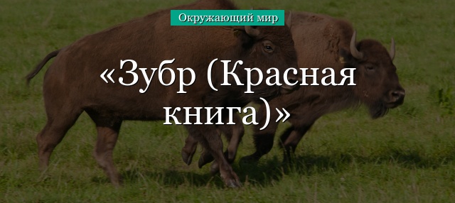 Зубр (Красная книга)